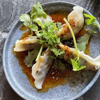 Appetizer - spinach shiitake dumplings  at PLANTA Queen in Toronto