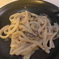 Udon noodles 🍜   at PLANTA Queen in Toronto