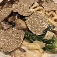 Udon Noodles (with extra shaved truffle) at PLANTA Queen in Toronto