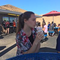 Vegan summertime at Dairy Star Ice Cream in Lincolnwood