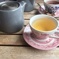 Green tea at Salt Café in Fareham