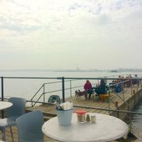 Window view  at Salt Café in Fareham