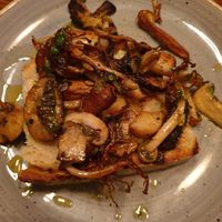 Wild mushrooms on toast with garlic vegan butter at The Red Lion & Sun in North London