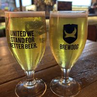 Made in Berlin   at BrewDog in Carlisle