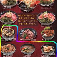 Vegan options are tempura and soymeat, curry and mapo tofu are only vegetarian  at OKA - Don Buri Nantoya - T4F in Naha