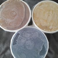  at Kind Kones - Forum in Central Singapore