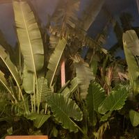  at Amami Garden in Ungasan