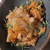 Rigatoni with wild mushrooms  at The Cyder House Inn in Godalming