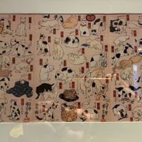 cats 🐈 🐈‍⬛   at Kushi-ya in Nottingham