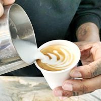 Bear's Magic Expresso Skills at Animal Liberation Kitchen in Toronto