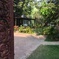 The garden  at Roots Cafe in Siem Reap