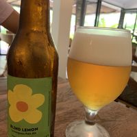 Lemongrass IPA  at Roots Cafe in Siem Reap