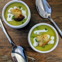 Pea soup amuse bouche - absolutely amazing! at Roots Cafe in Siem Reap