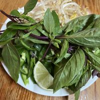 Bean sprouts, lime, jalapeños and herbs  at Pho Today in Jacksonville