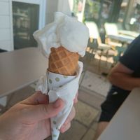 Organic lemon sorbet at Papilla Artisan Glacier in Cannes