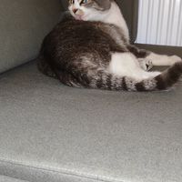 #Veganuary at Muhudo Falafel Shop in Tbilisi