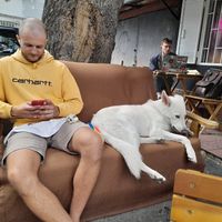  at Muhudo Falafel Shop in Tbilisi