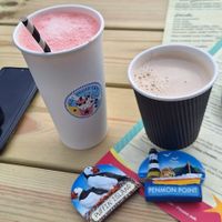 Strawberry milkshake (Soya milk and vegan ice cream) and soya latte at Pilot House in Cymru