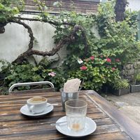   at The Courtyard in Looe