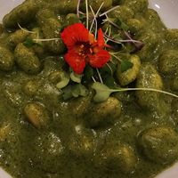Gnocchi with pesto at Green Fusion in Ridgewood