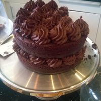 Vegan chocolate cake at The Nest in Gateshead