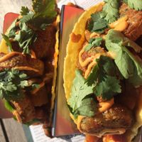 Taco’s « Moroccan style » falafels, sweet potatoes fries & sambalmayo
 at Coco in De Panne