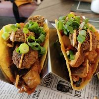 Tacos falafels at Coco in De Panne