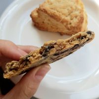 vegan cookie - large and thin! at Bottle Lounge 보틀팩토리 in Seoul