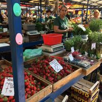 Herbs at Stary Kleparz in Krakow
