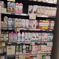 Plant 🥛 at Veritas in Madrid