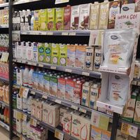 Plant 🥛 at Veritas in Madrid