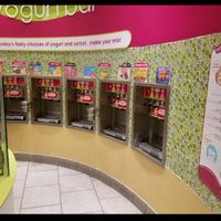 FroYo at Menchie's Frozen Yogurt in Allen