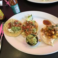 Veggie, Sofritos, and Squashacado Tacos at Jefe's in Longmont