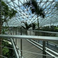 View of the waterfall from my table!  at SIN - Prive - Jewel  in East Singapore