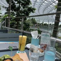 View from my table in the Canapé Park at Jewel  at SIN - Prive - Jewel  in East Singapore