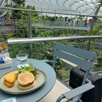  at SIN - Prive - Jewel  in East Singapore