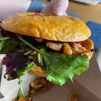   at Elbsalon in Dresden