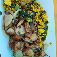 Tofu scramble with peppers and spinach and side of hash browns at Freshfit Cafe in Nags Head