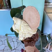 Gusti sacher e croccante alla vaniglia  at Puro & Bio - Piazzale di Porta Cerese in Mantova