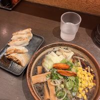 Soy sauce vegan ramen and vegan gyozas  at Shinbu Sakiya Ramen - 麺匠真武咲弥 in Tokyo