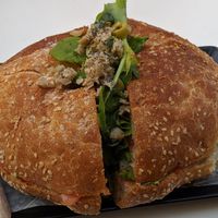 Tuna ciabatta at Choco Kebab Cafe in Bugibba