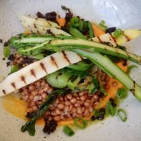 Gegrilde asperge, andijvie, wortelcrème met tarwe at Madonna in Ghent