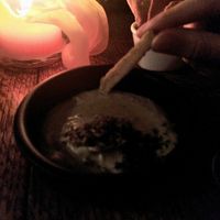 Creamy parsnip dip at Madonna in Ghent