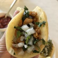   at El Nopal in Everett