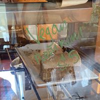 Vegan cake at DP1 Cafe in Greymouth