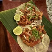 Jackfruit tacco  at The Mexican in Town in 