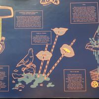 Menu front at Moak Pancakes - City Center in Amsterdam