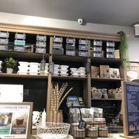 marked vegan options  at Gelateria La Romana - Santa Teresa in Turin