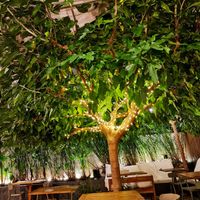  at RE Organic in Mallorca