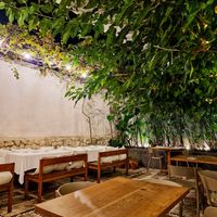  at RE Organic in Mallorca